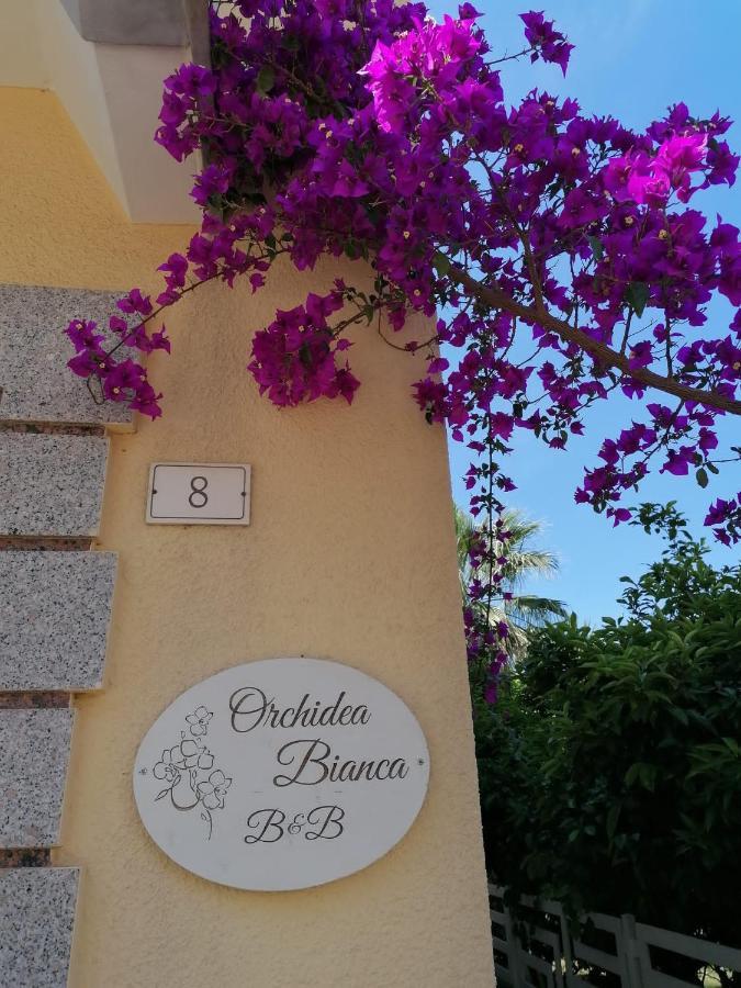 Orchidea Bianca 2*