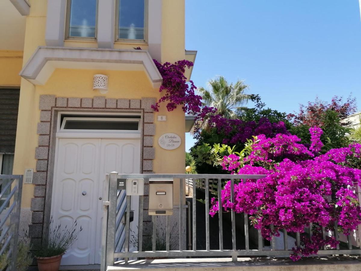 Bed & Breakfast Orchidea Bianca